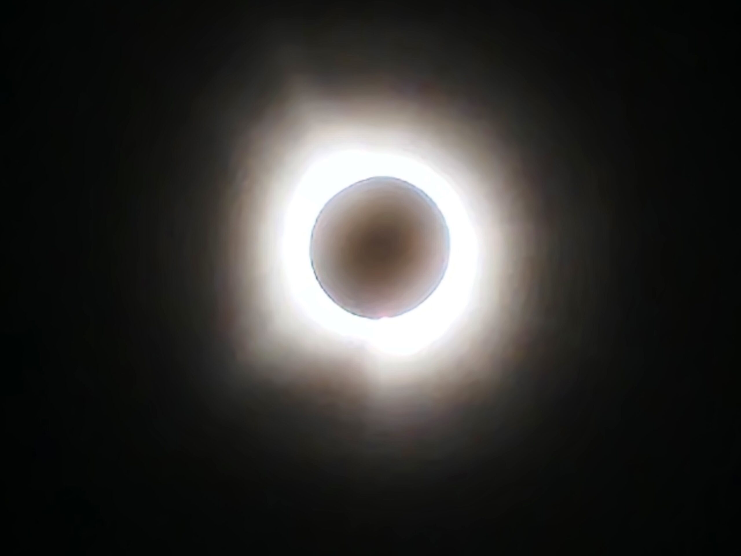 Featured image for “The Chicago Way w/John Kass: An icon, the eclipse, and Dexter Reed”